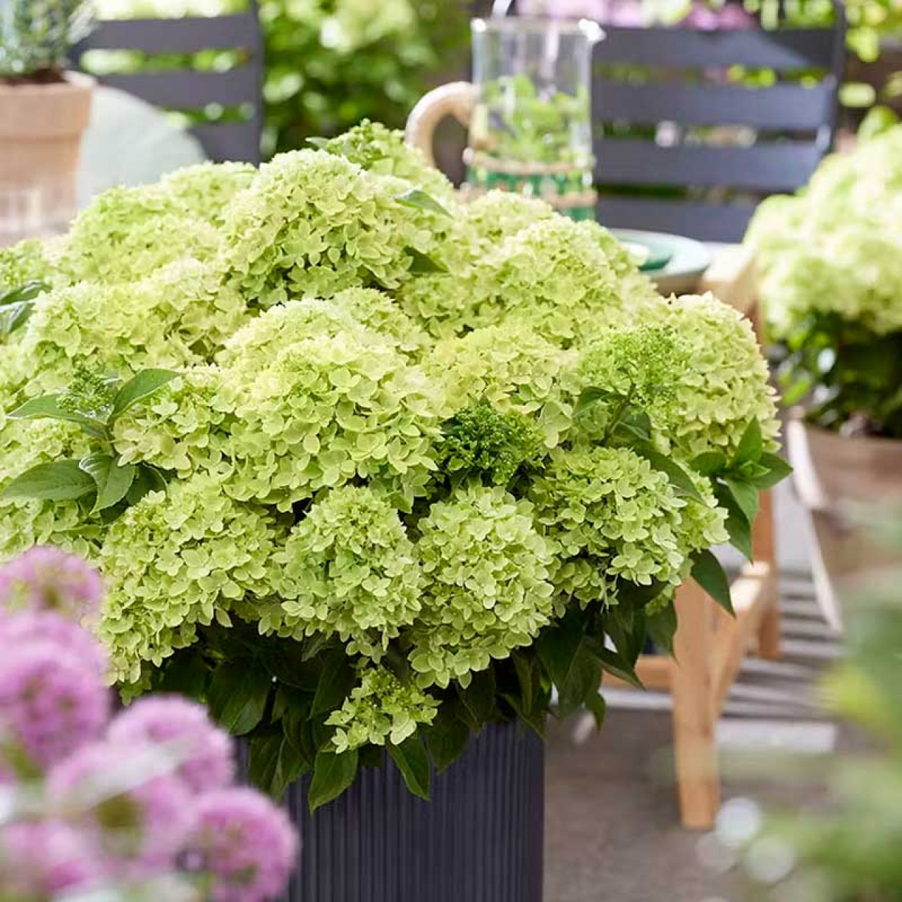 Фото Литл Эпл в Омске Matilda Flowers