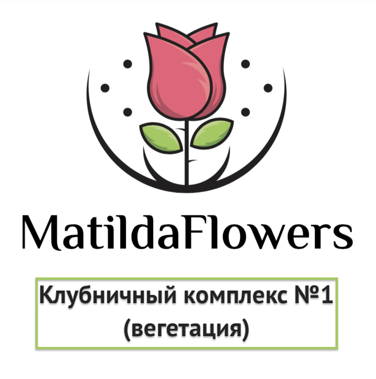 Фото Клубничный комплекс 1 (вегетация) в Омске Matilda Flowers