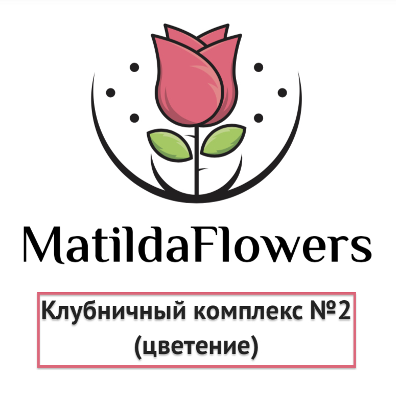 Фото Клубничный комплекс 2 (цветение) в Омске Matilda Flowers