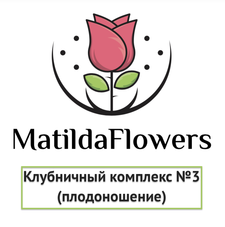 Фото Клубничный комплекс 3 (плодоношение) в Омске Matilda Flowers